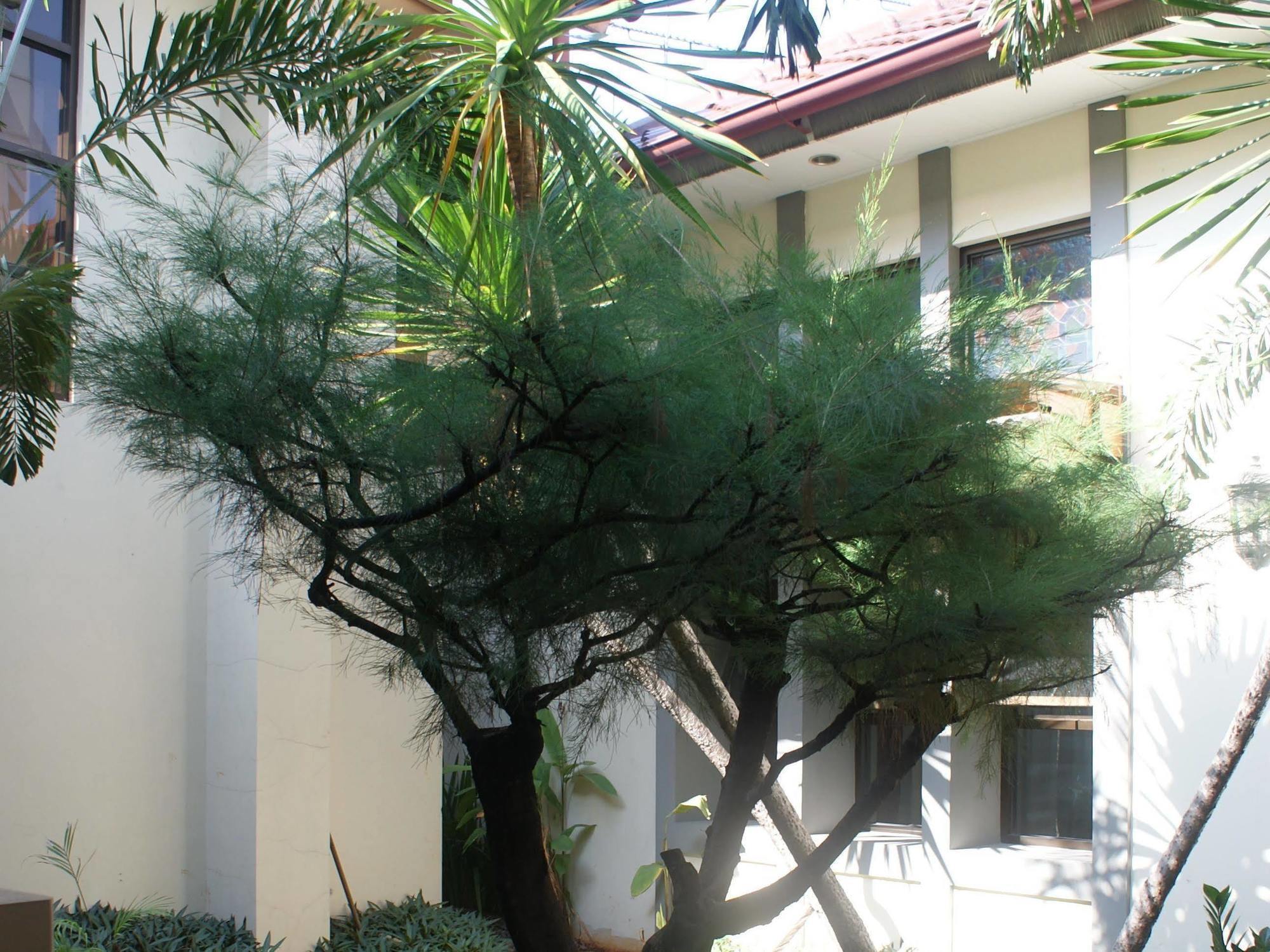 Sofyan Hotel Soepomo Jakarta Buitenkant foto